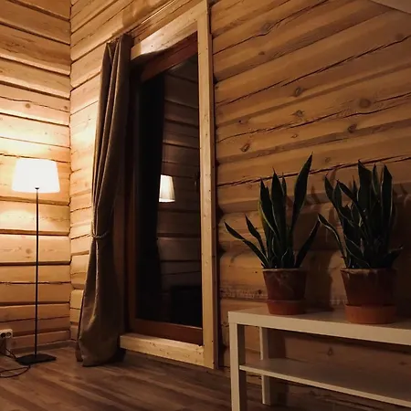 In A Scandinavian Style House *