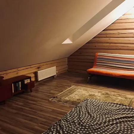 In A Scandinavian Style House Vilnius