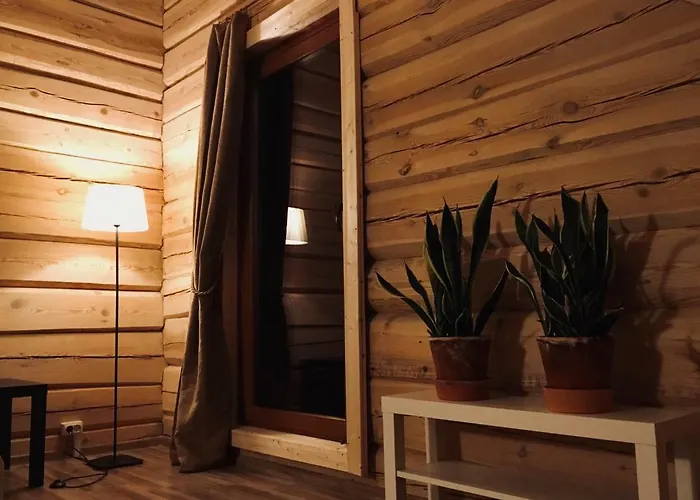 In A Scandinavian Style House *