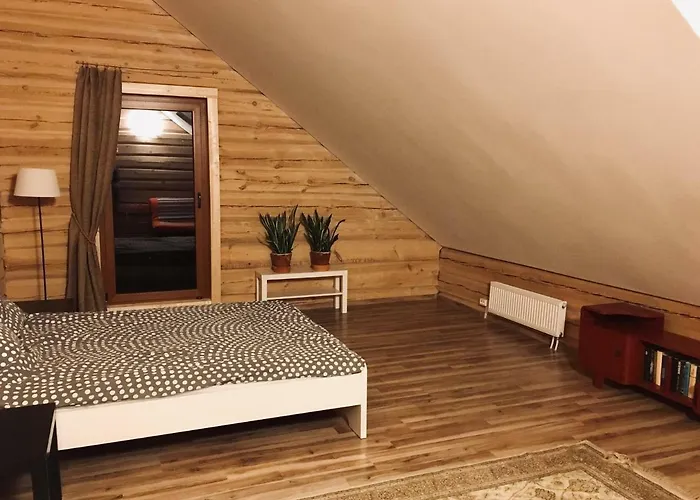 In A Scandinavian Style House Vilnius