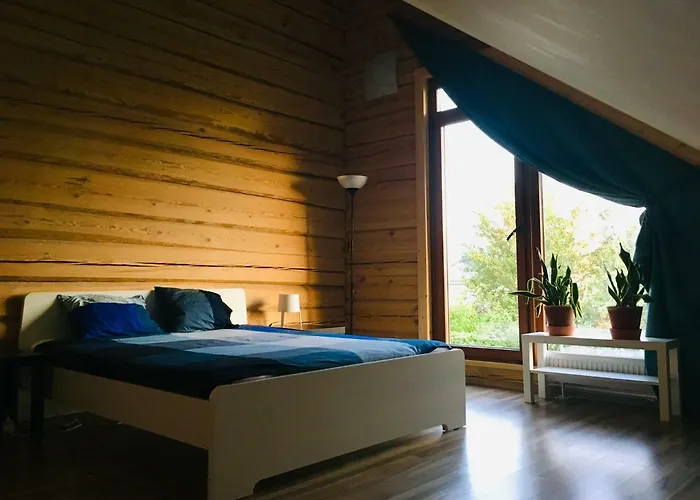 In A Scandinavian Style House *