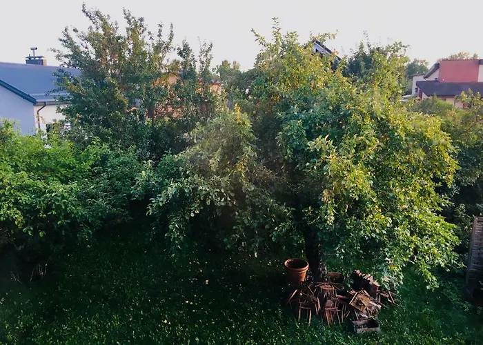 Gyvenimas sodyboje In A Scandinavian Style House *