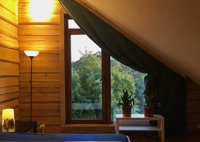 In A Scandinavian Style House Gyvenimas sodyboje *