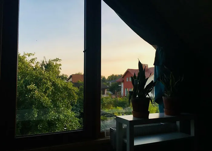 In A Scandinavian Style House