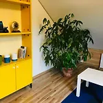 In A Scandinavian Style House