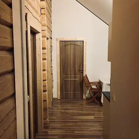 In A Scandinavian Style House Vilnius