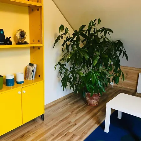 In A Scandinavian Style House