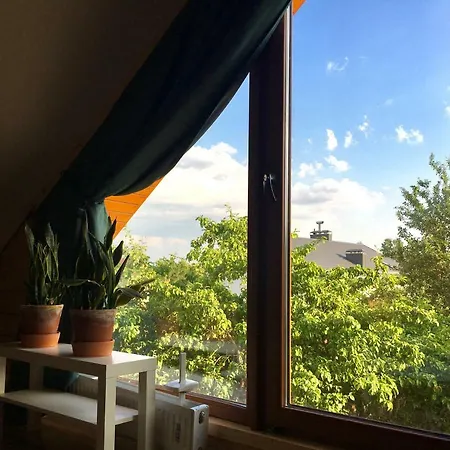 In A Scandinavian Style House Homestay