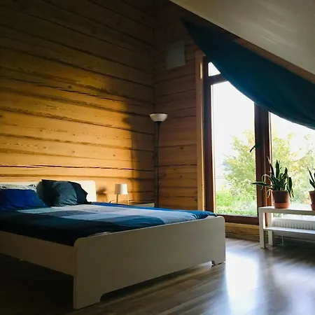 In A Scandinavian Style House *