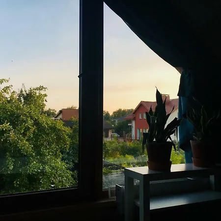 In A Scandinavian Style House