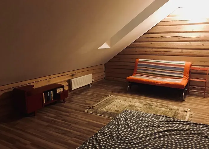 In A Scandinavian Style House Vilnius