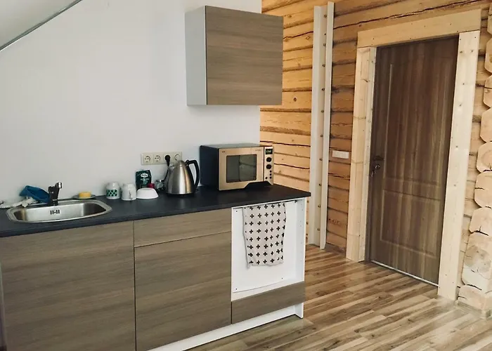 In A Scandinavian Style House * Vilnius